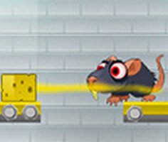 Mouse Traps
